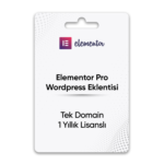 Wp Elementor Pro