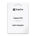 CapCut Pro